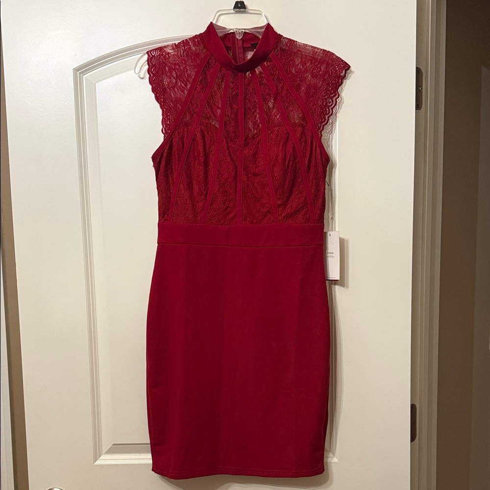 Elegant Red Lace Mini Dress